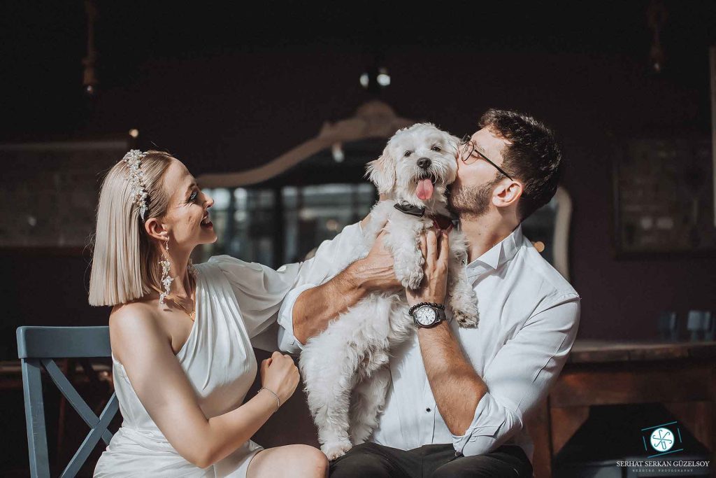 Evcil Hayvanlarla Düğün Günü