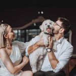 Evcil Hayvanlarla Düğün Günü